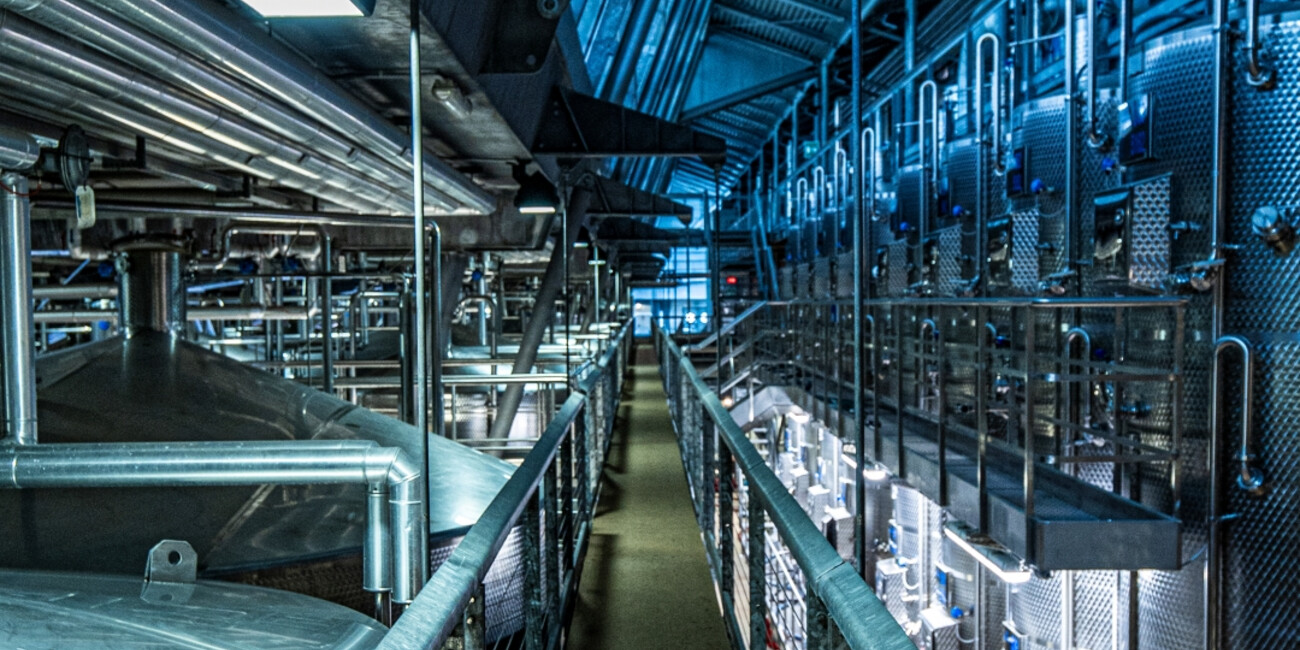 Cantina Mezzacorona - Rotari #2