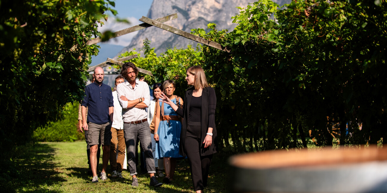 Distilleria Bertagnolli #5