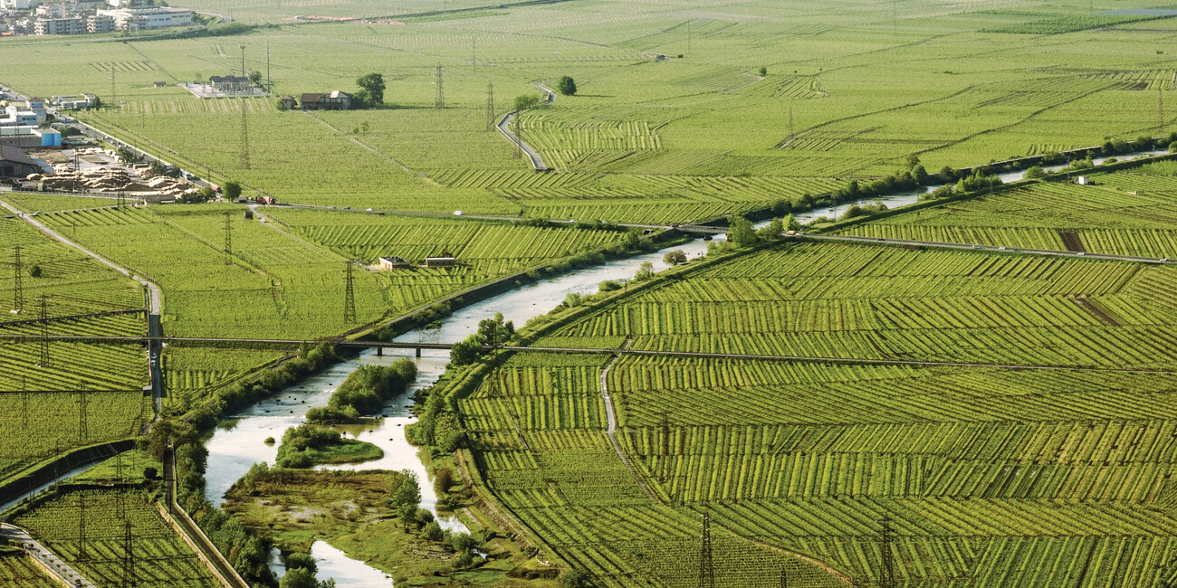 Az. Agr. De Vescovi Ulzbach #4