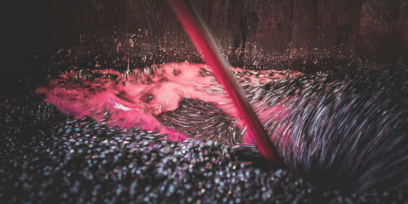 Az. Agr. De Vescovi Ulzbach #5