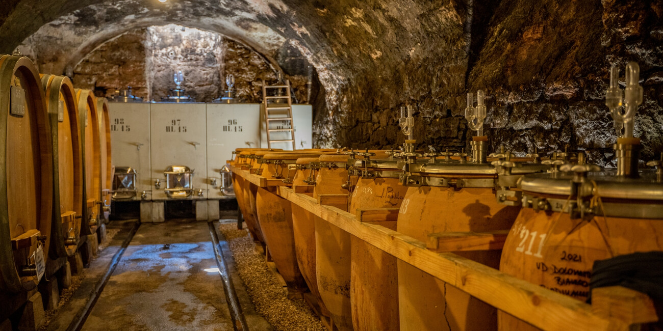 Az. Agr. Foradori #5