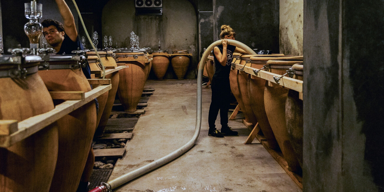 Az. Agr. Foradori #10