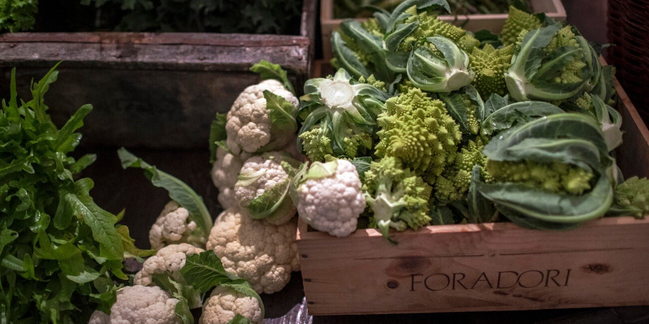 Az. Agr. Foradori #11