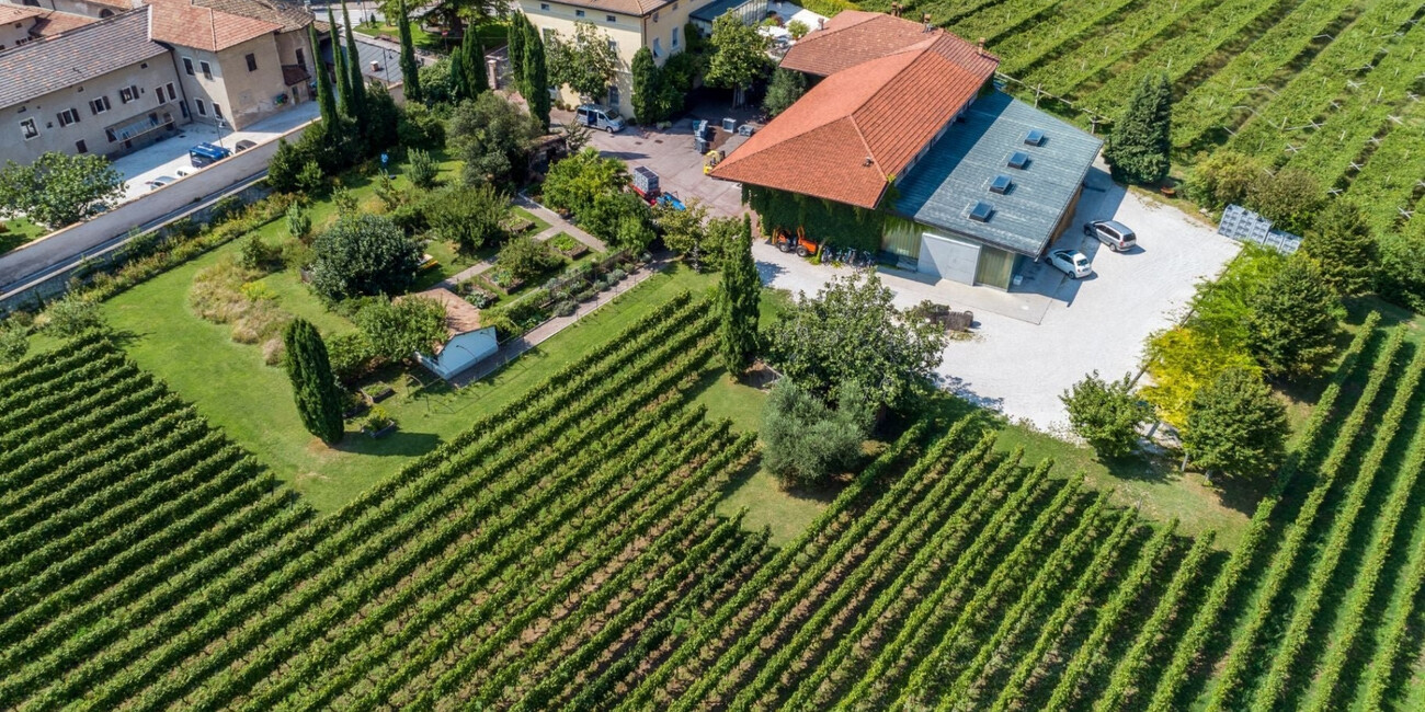 Az. Agr. Foradori #12