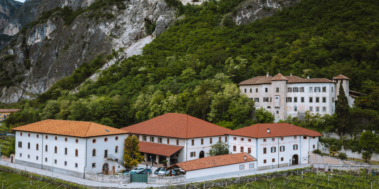 Cantina Martinelli #5
