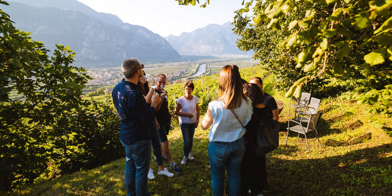 Az. Agr. Maso Grener #5