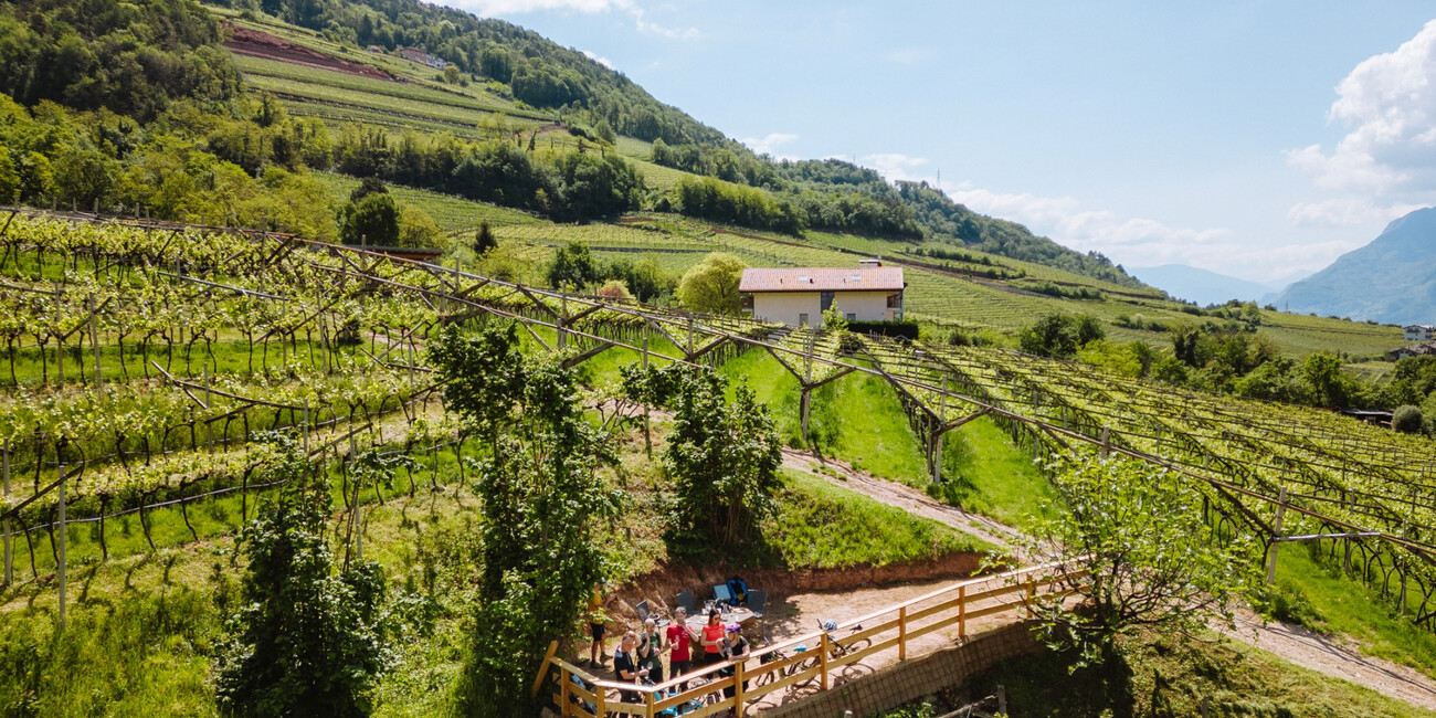 Az. Agr. Maso Grener #7