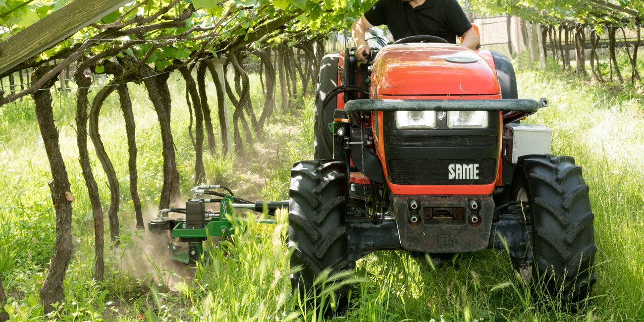 Az. Agr. Redondèl #6