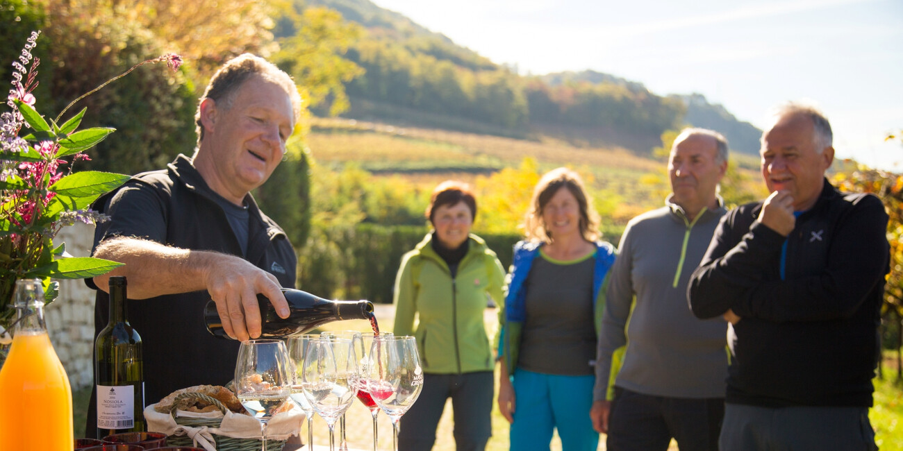 Az. Agr. Maso Grener #8