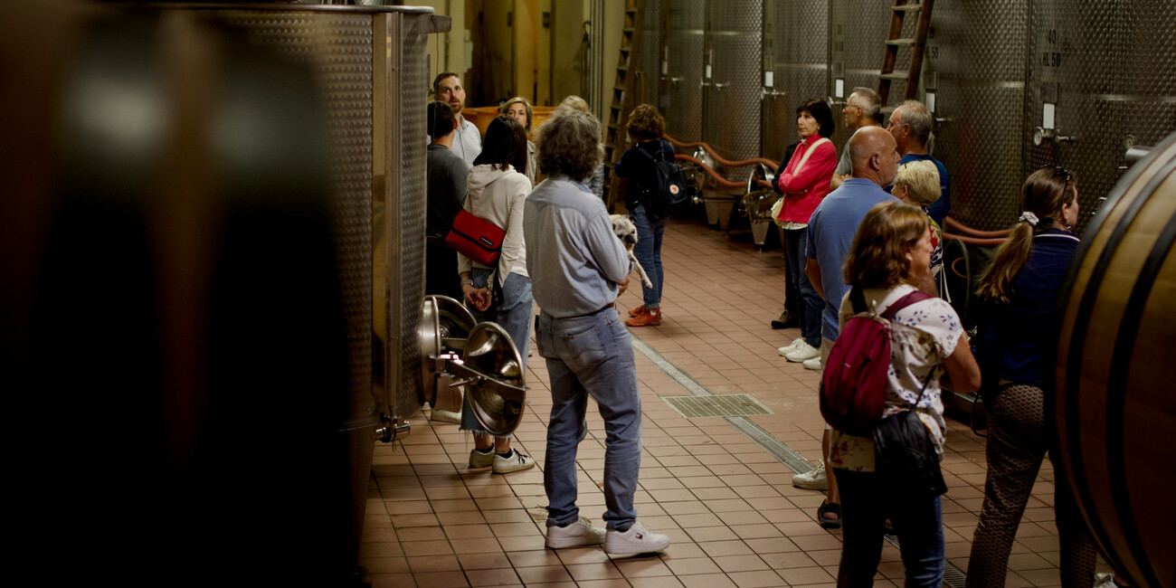 Cantina Elio Endrizzi #3