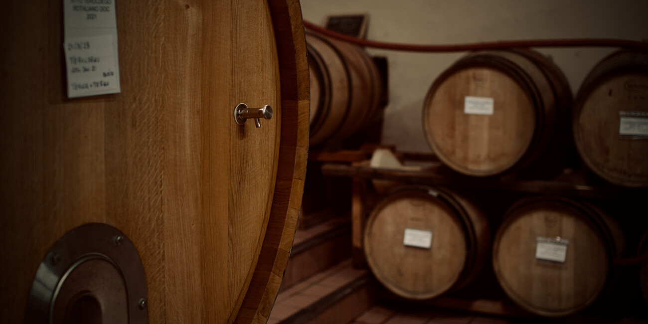 Cantina Elio Endrizzi #4