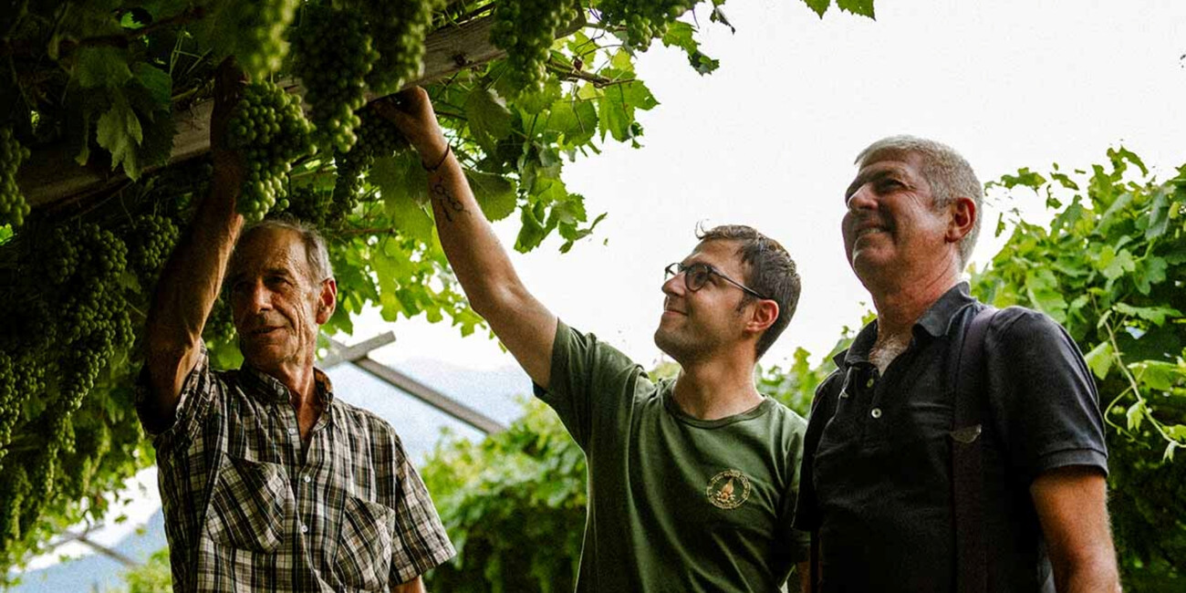 Cantina Elio Endrizzi #5