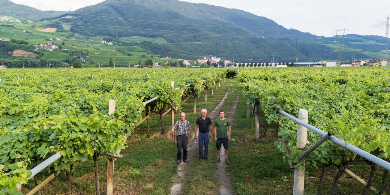 Cantina Elio Endrizzi #6