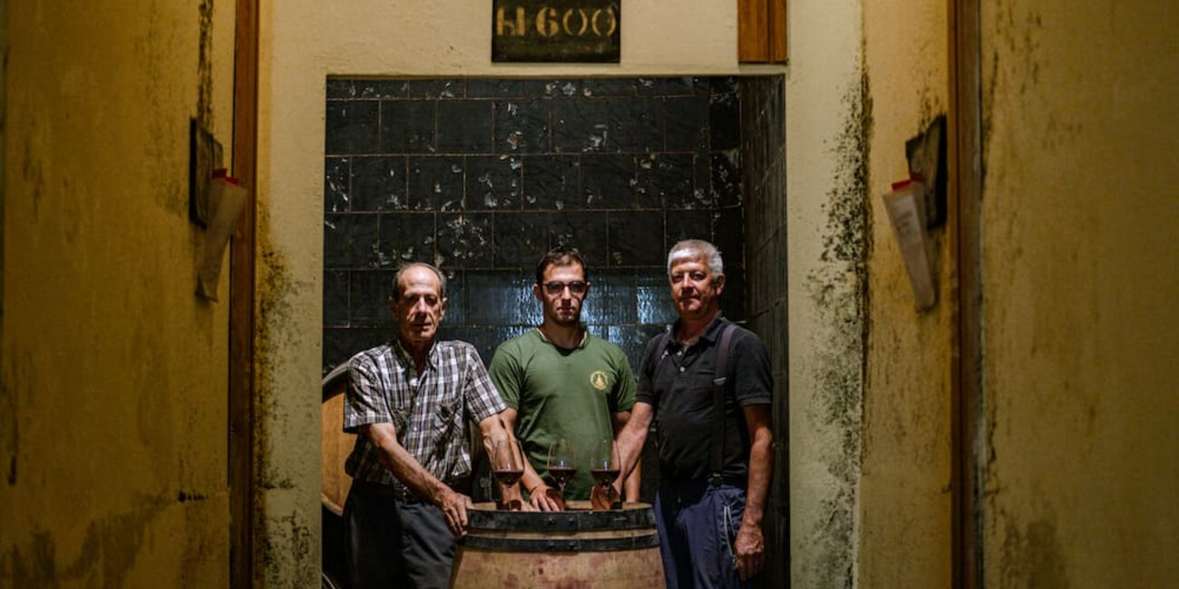 Cantina Elio Endrizzi #10