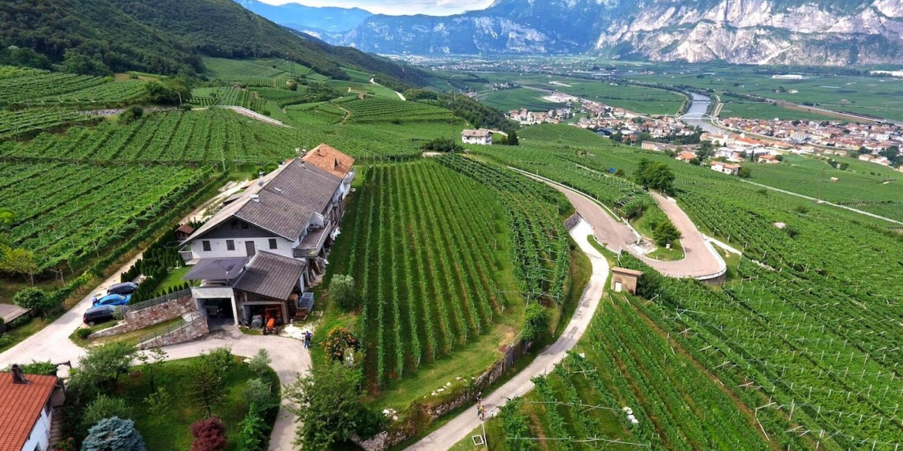 Az. Agr. Villa Piccola #2