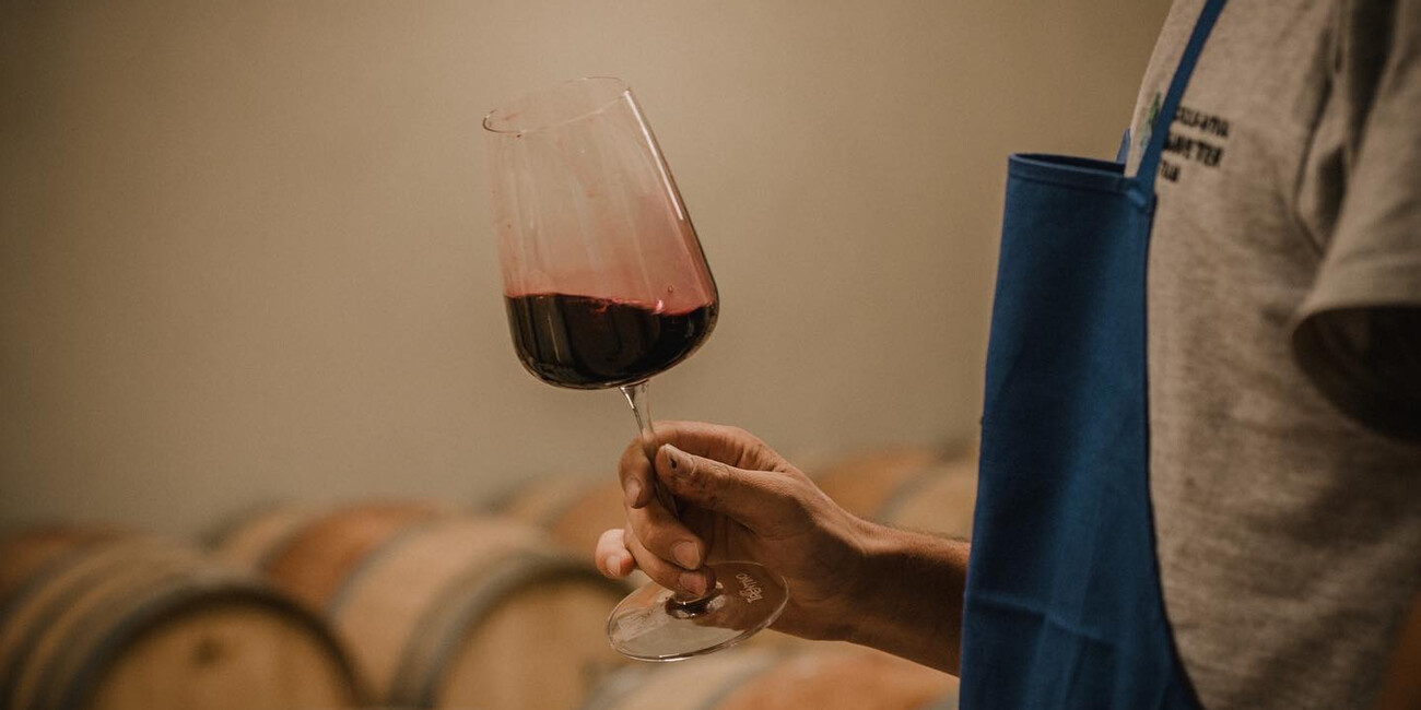 Az. Agr. Fontana Graziano #9