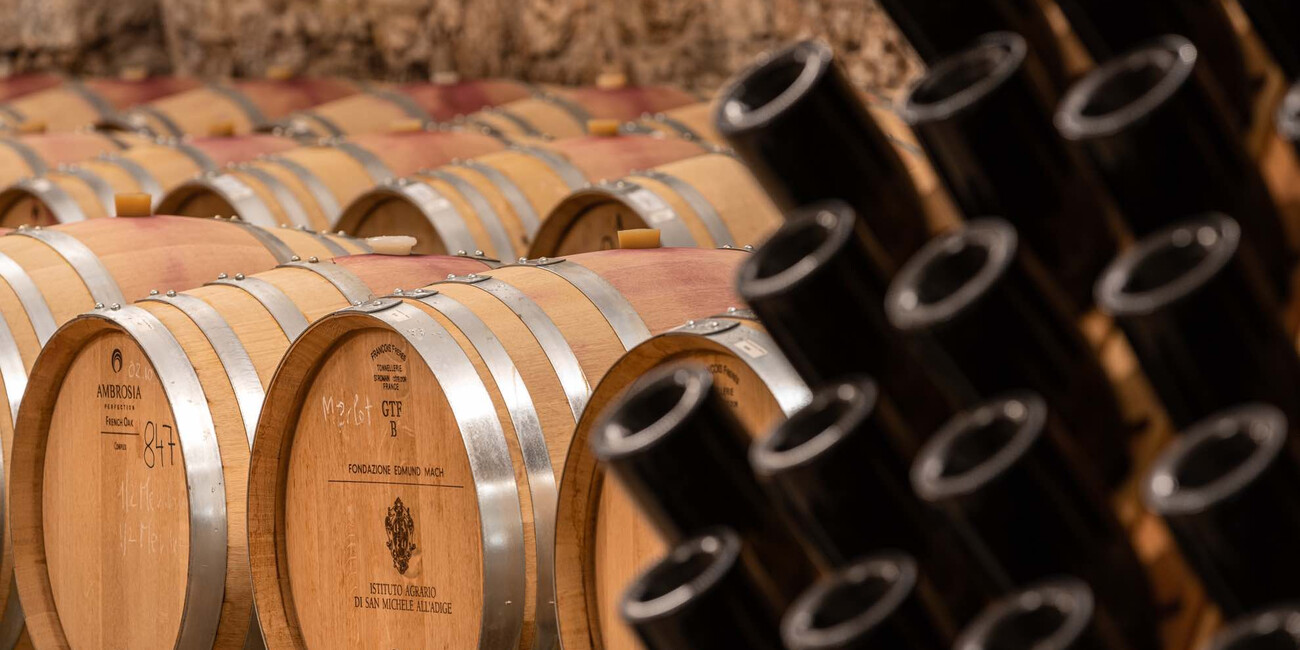 Cantina Fondazione Edmund Mach #4