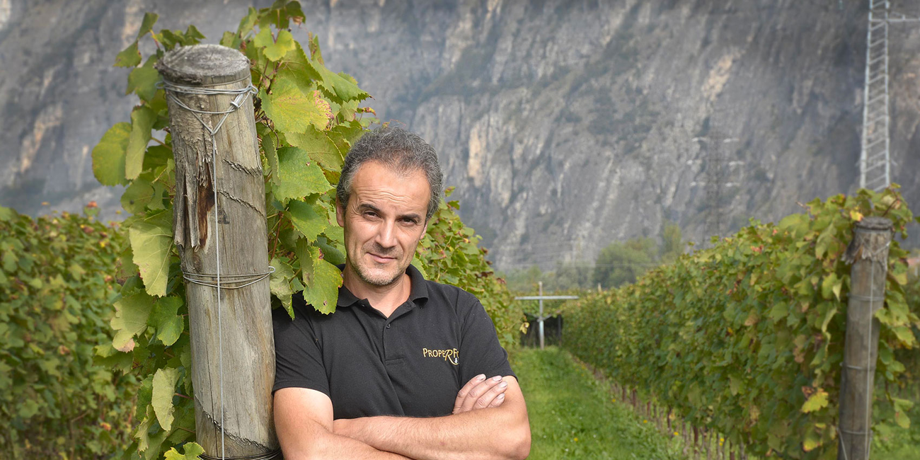 Az. Agr. Fedrizzi Cipriano #1