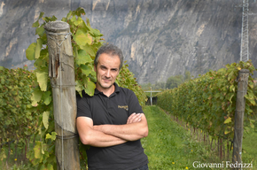 Fedrizzi Cipriano Winery