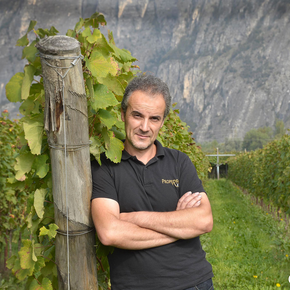 Fedrizzi Cipriano Winery