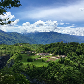 Azienda Agricola Dallapiazza Orlando e Moreno
