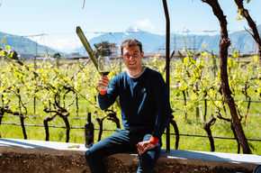 Elio Endrizzi Winery