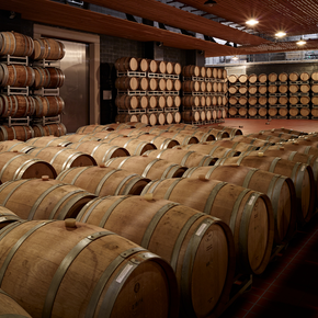 Kellerei LaVis und Valle di Cembra