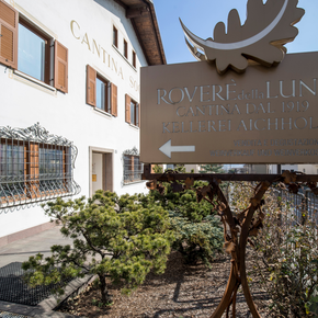 Cantina Roverè della Luna Aichholz