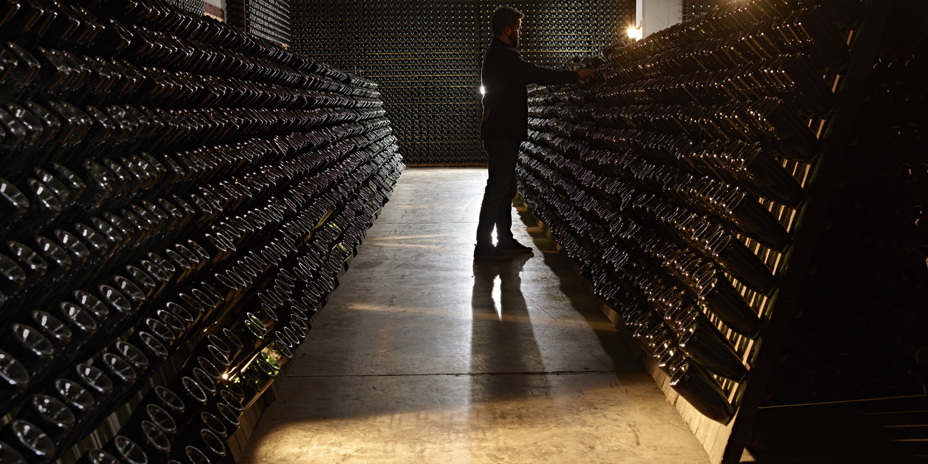 Cantine Ferrari - F.lli Lunelli #1