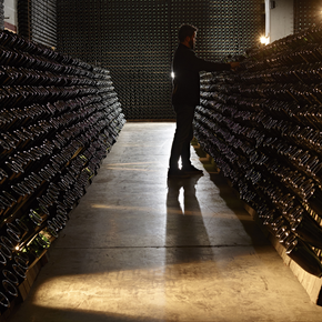 Cantine Ferrari - F.lli Lunelli