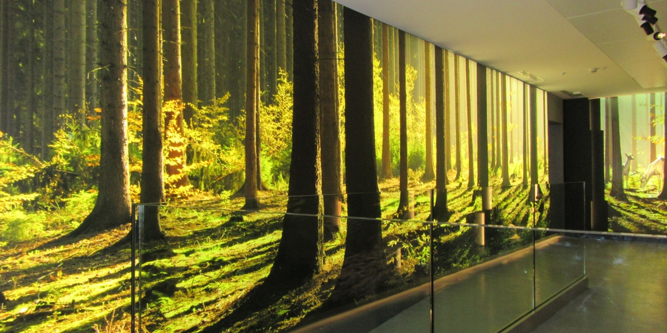 Centro Visitatori Pejo #1