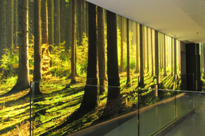 Centro Visitatori Pejo