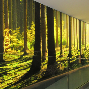 Centro Visitatori Pejo