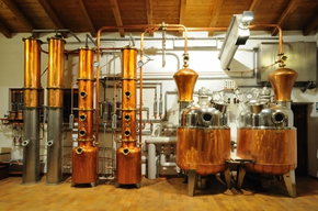 Distilleria Francesco