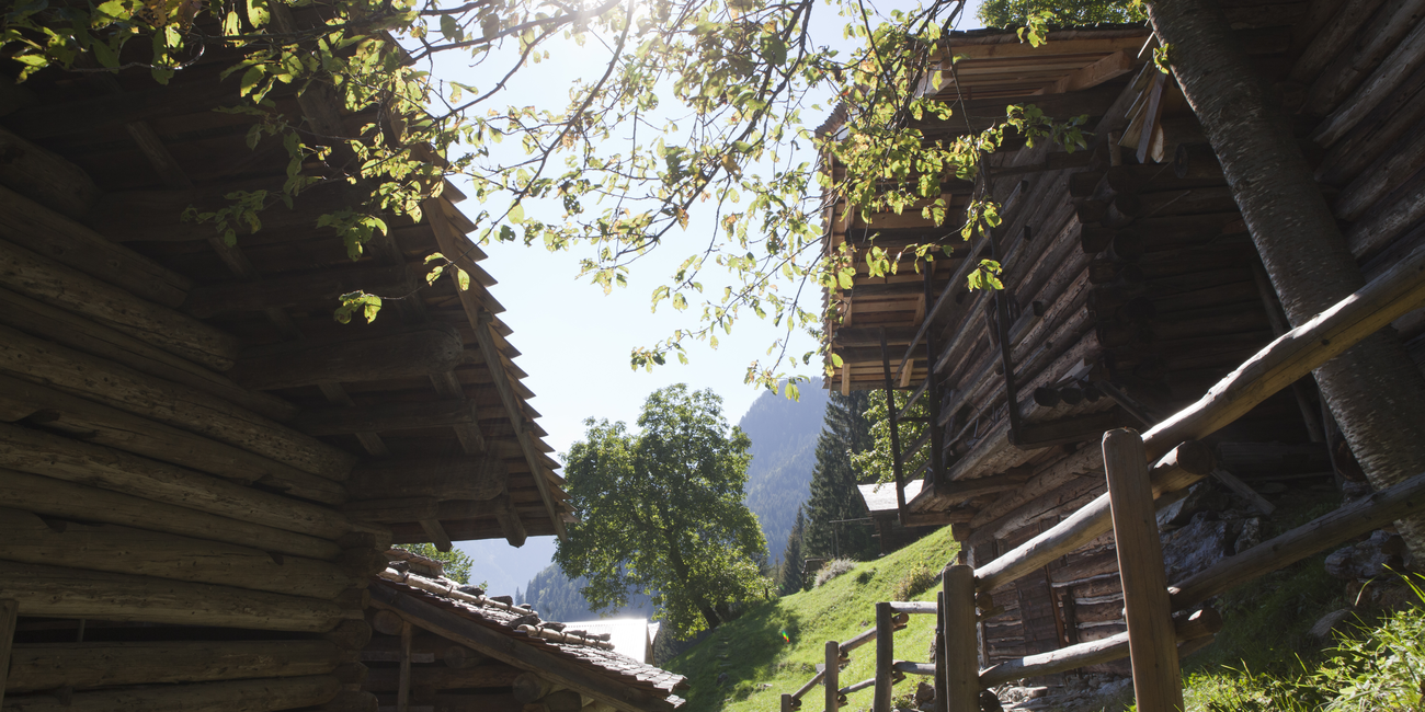 Ökomuseum des Vanoi #1