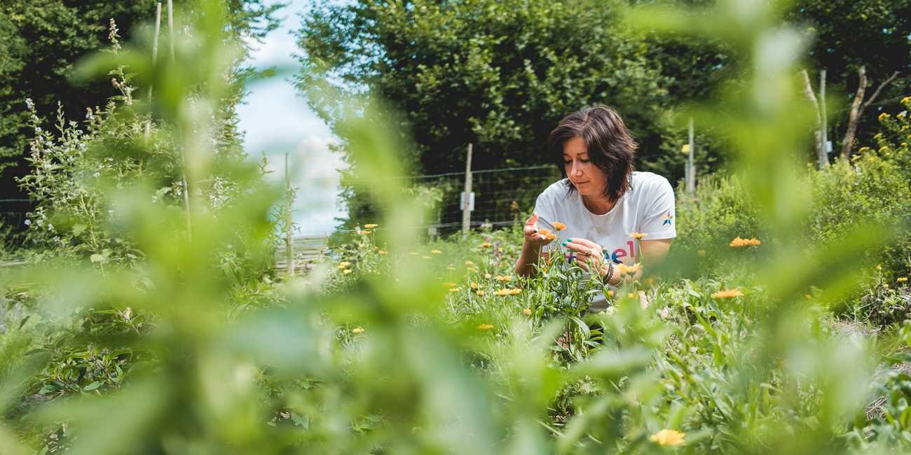 Giardino didattico di piante officinali e aromatiche #1