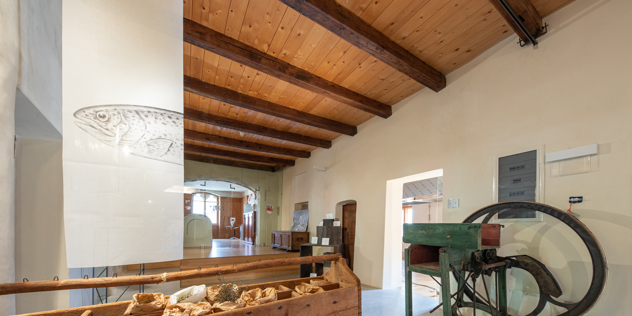 Palazzo Scopoli - Casa del Cibo #1