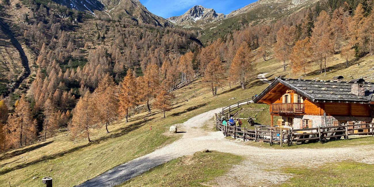 © Stefania Menghini 