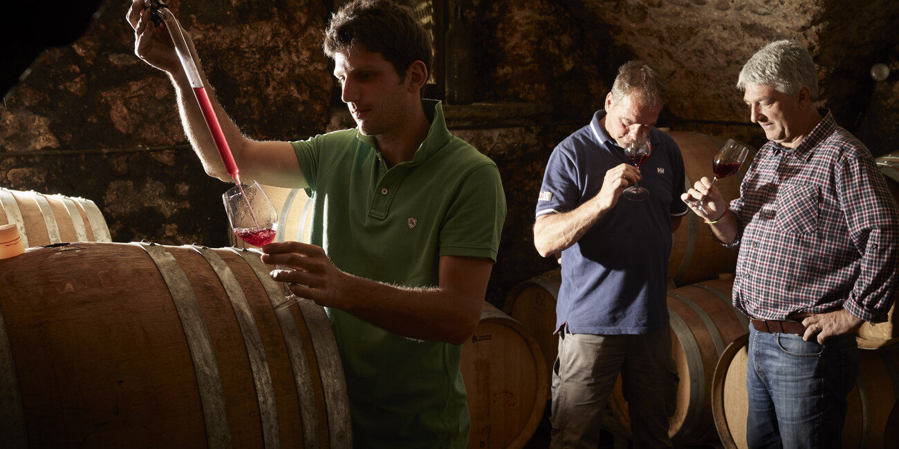 © Daniele Montigiani 