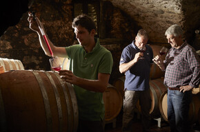 Vallagarina - Santa Margherita di Ala - Azienda Agricola La Cadalora