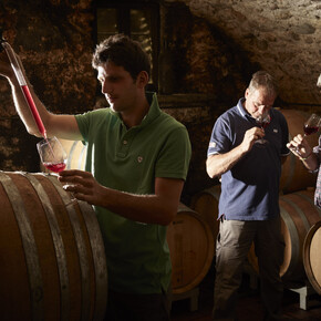 Vallagarina - Santa Margherita di Ala - Azienda Agricola La Cadalora