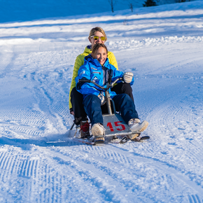 Allemaal aan boord van de slee!