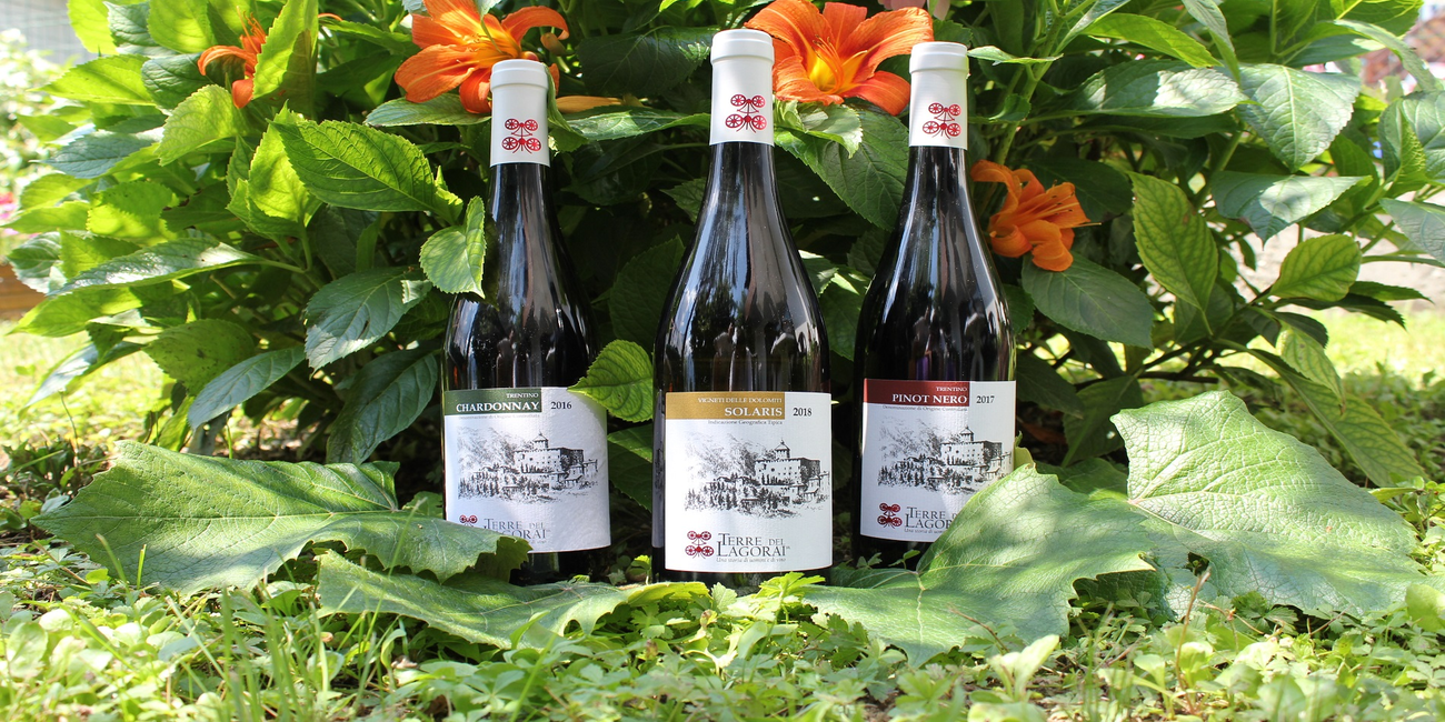 Terre del Lagorai #1