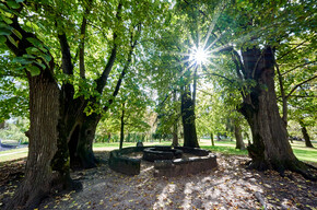 Val di Fiemme - Cavalese - Parco della Pieve - Banco de la Reson