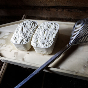 Val di Fiemme - Malga Sadole - Tosèla