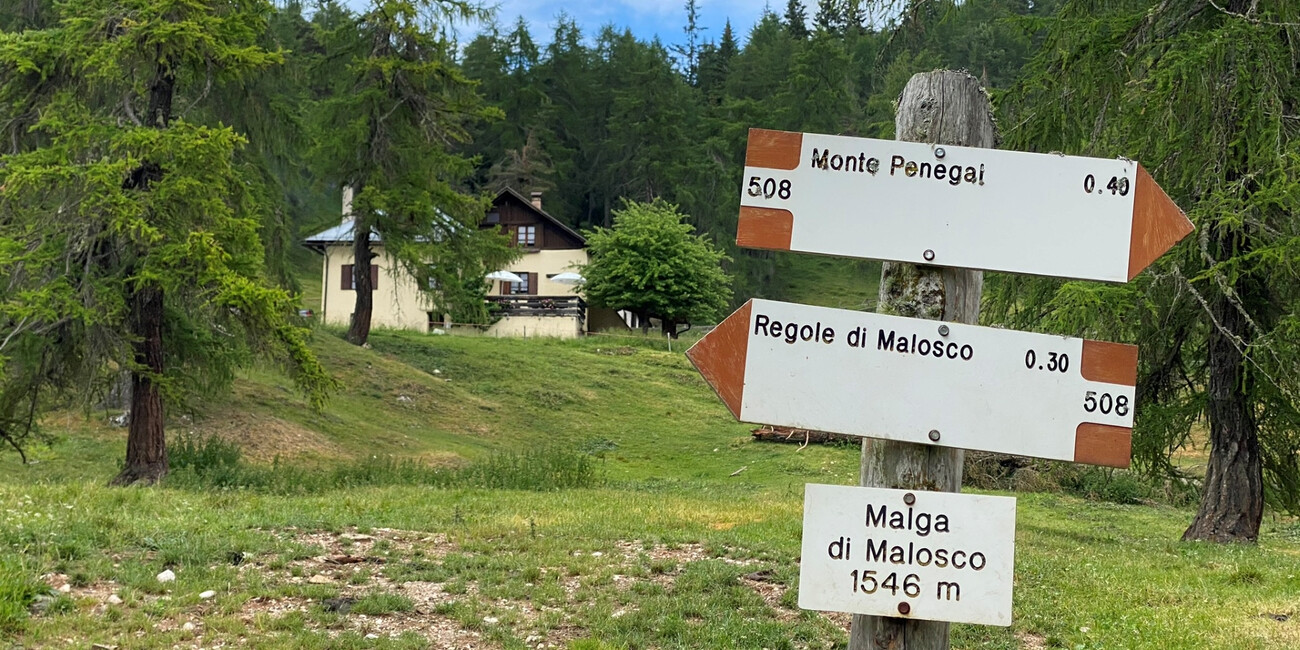 © Stefania Menghini 