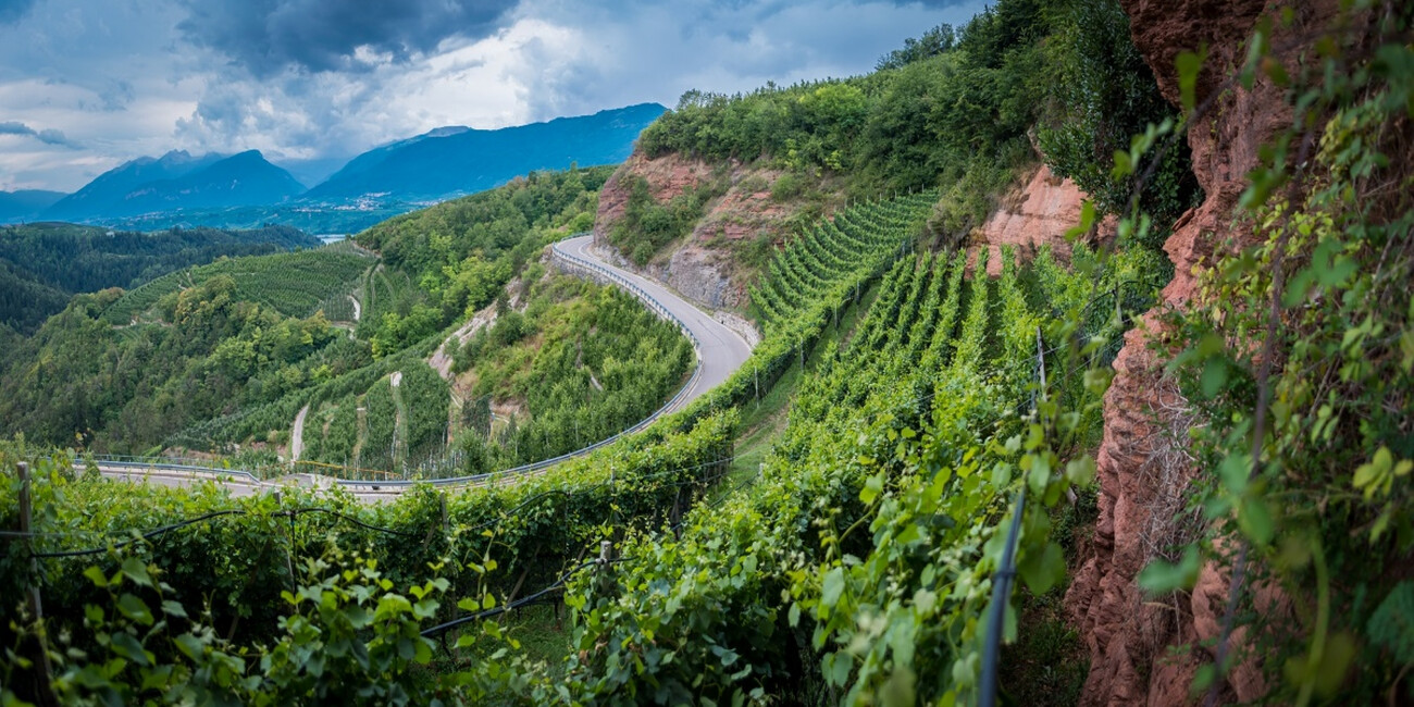 © Cantina Laste Rosse 