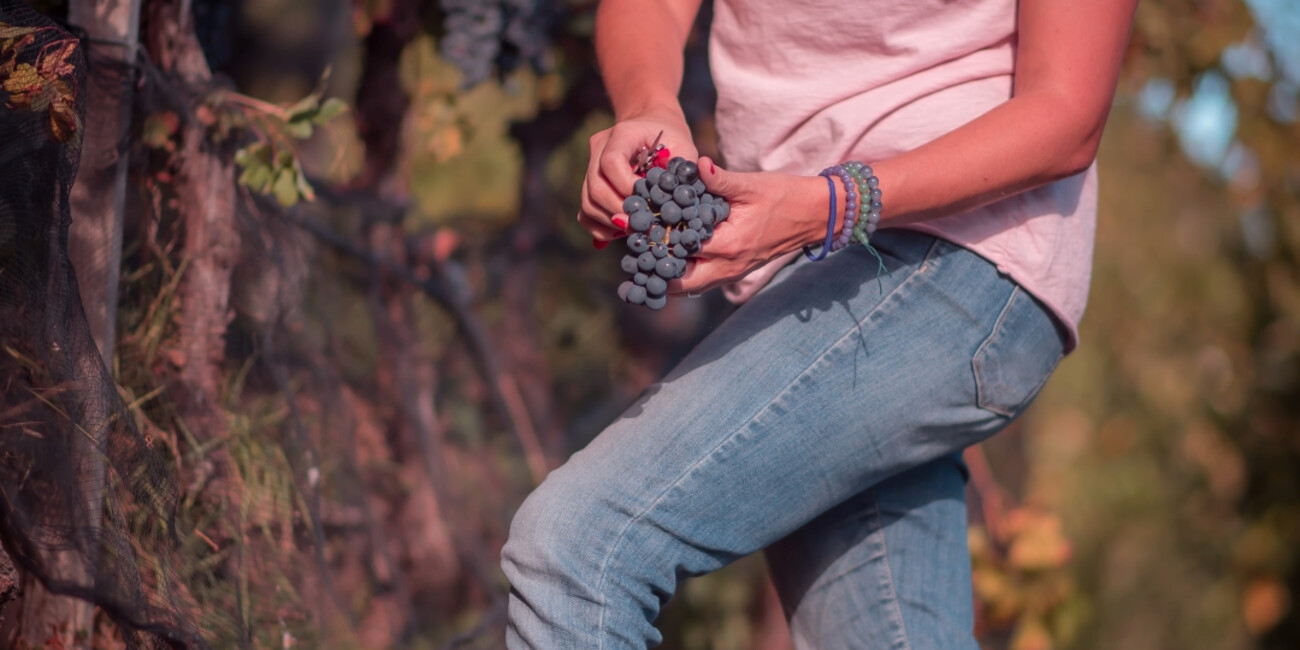 © Cantina Laste Rosse 