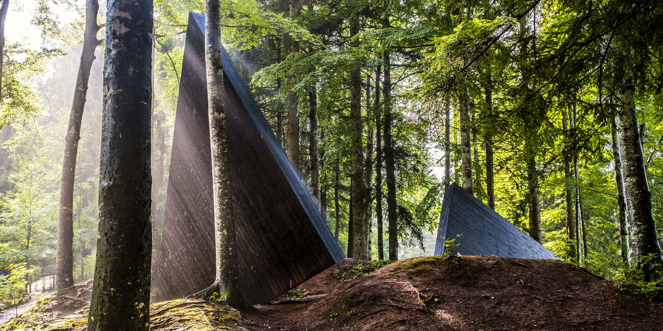 © Pierluigi Orler Dellasega 