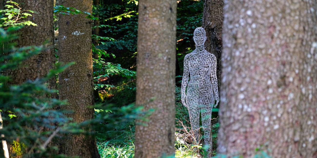 © Pierluigi Orler Dellasega 